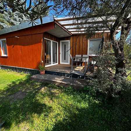 Ferienhaus Zeulenrodaer Meer Екстериор снимка
